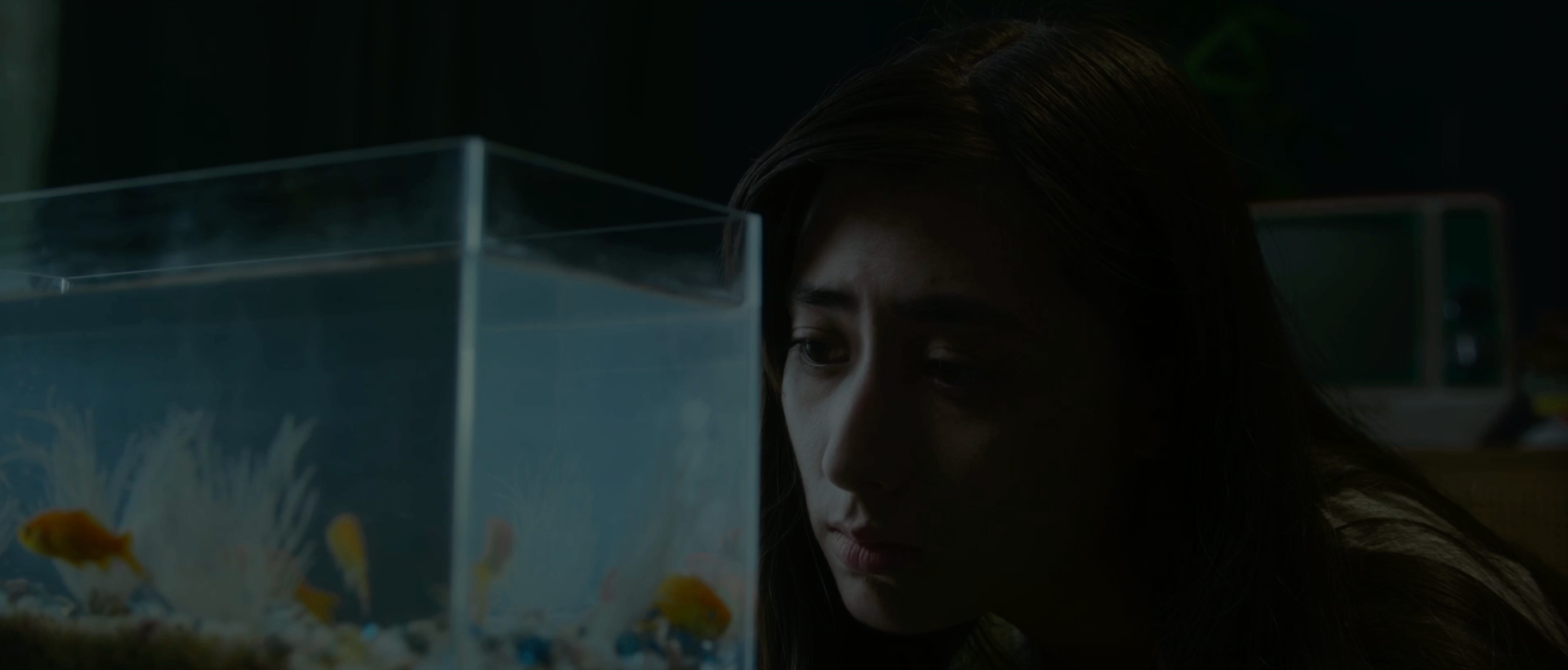 Woman beside small fish tank