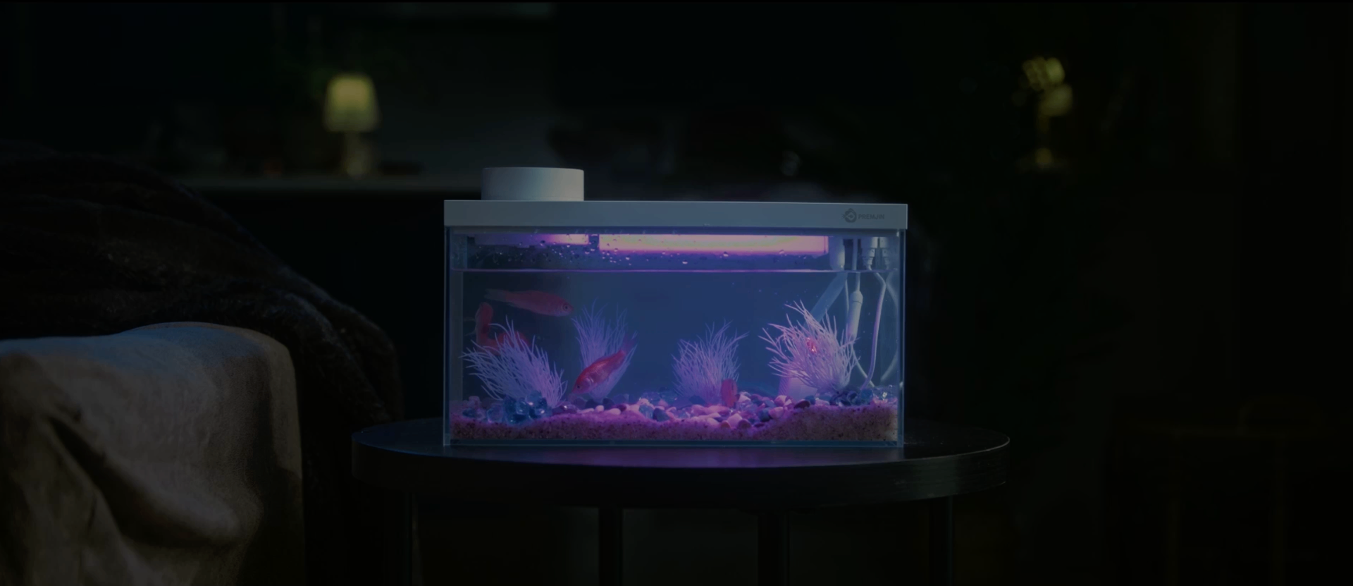 Glowing aquarium in dim room